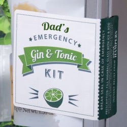 Dads Emergency Gin and Tonic Kit with Crackers Whisk Hampers-31