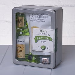 Mums Emergency Gin and Tonic Kit with Crackers Whisk Hampers-31