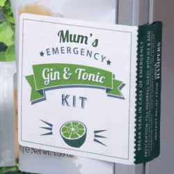 Mums Emergency Gin and Tonic Kit with Crackers Whisk Hampers-31