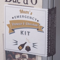 Mums Emergency Prosecco and Chocolate Kit Whisk Hampers-31